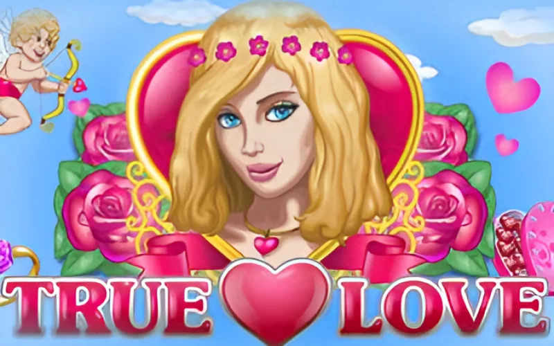 Casino.n1bet.com