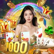 Ninecasino.com