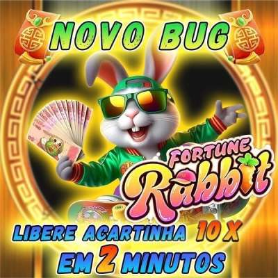 Ddbets