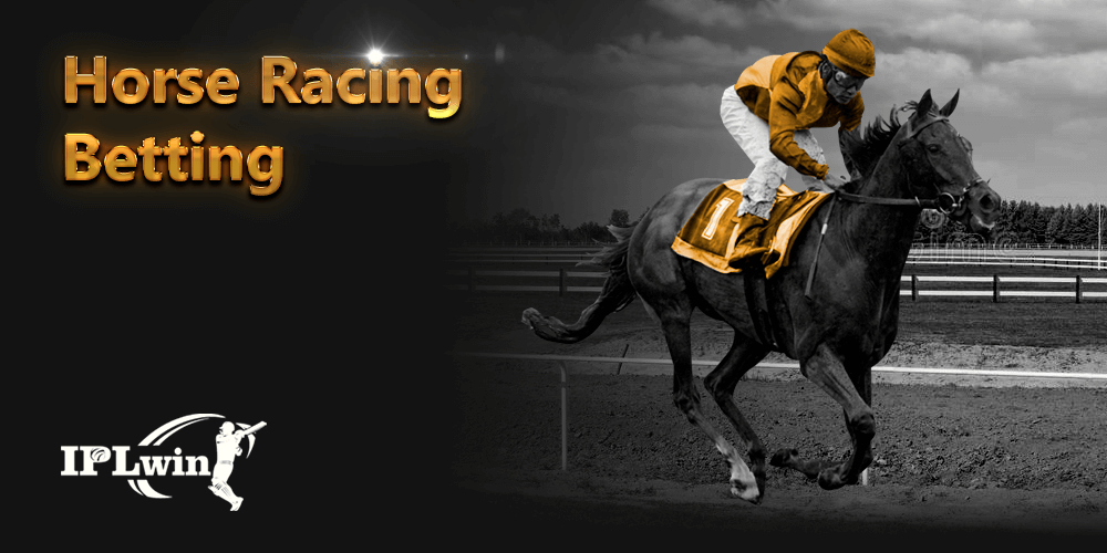 Www sportingbet com br