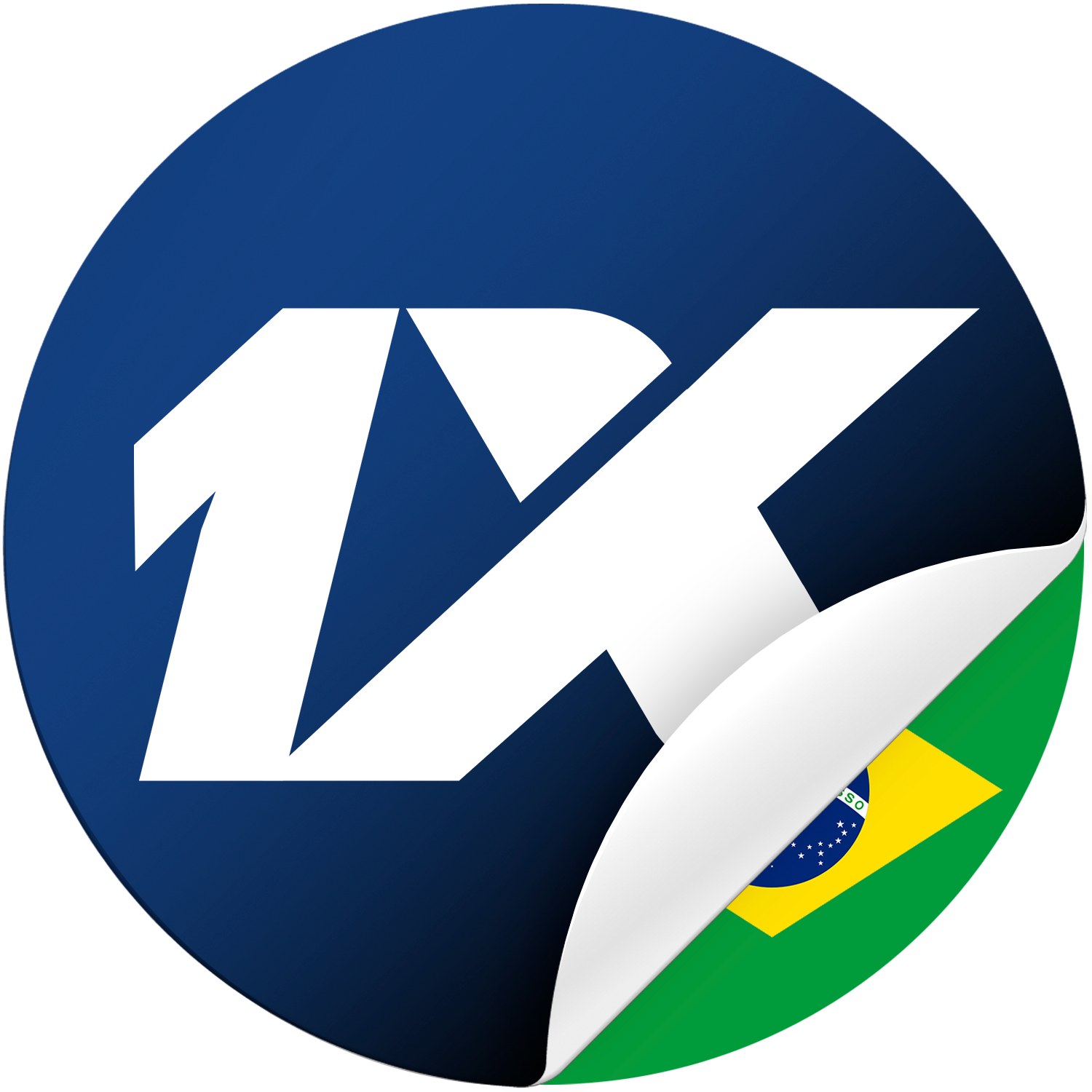 Mansão foster