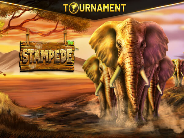 Jogo da blazer